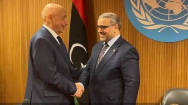 مجلس الدولة