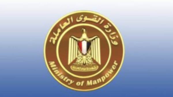القوي العاملة
