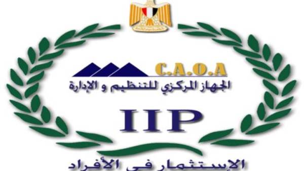 التنظيم والإدارة