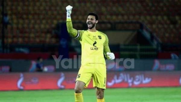 محمد الشناوى