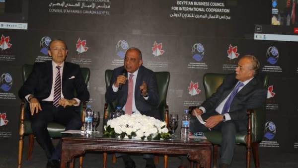 وزير قطاع الأعمال العام