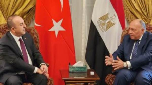 وزير الخارجية المصري ونظيرة التركي