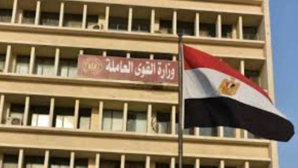 القوي العاملة