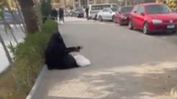ضبط سيدة احترفت النصب