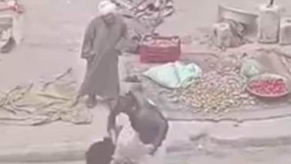صورة من الواقعه