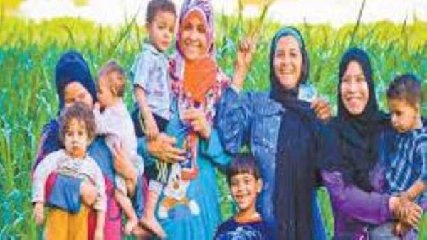 التضامن إلاجتماعي