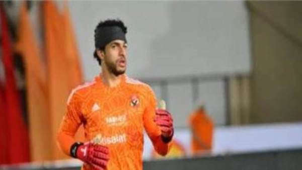 مصطفى شوبير