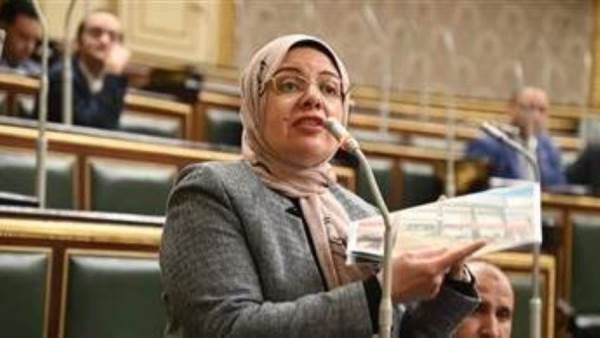 النائبة ريهام عبد النبى