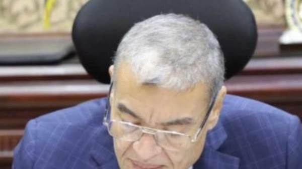 محافظ المنيا