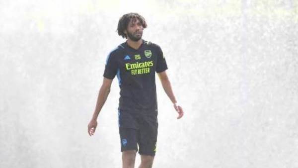 محمد النني