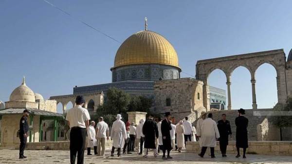 فلسطين