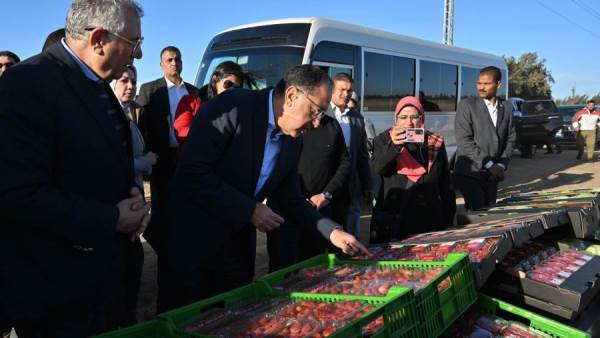 مدبولي